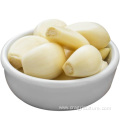 Freeze Garlic Cloves That Are Peeled